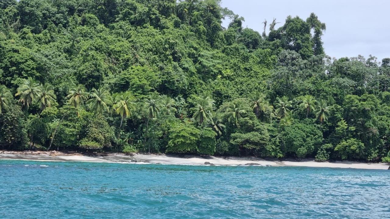 Hotel Bahia Yubarta バイーア・ソラノ エクステリア 写真