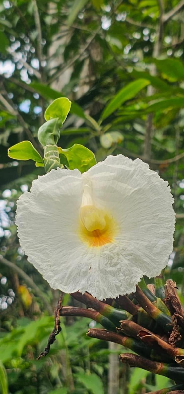 Hotel Bahia Yubarta バイーア・ソラノ エクステリア 写真