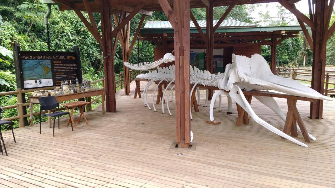 Hotel Bahia Yubarta バイーア・ソラノ エクステリア 写真